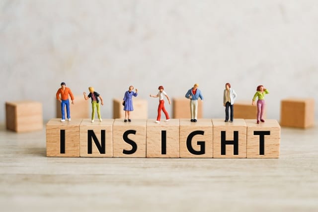 customer-insight